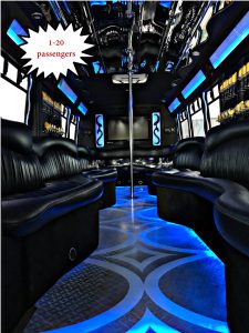 1-20 passenger party-bus