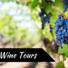 TexasWineTours with ETI limo & charter