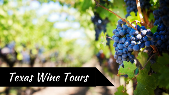 wine tours texas