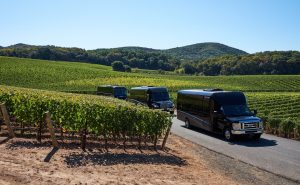 photo of minibus at winery tour